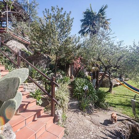 La Fattoria Di Nonna Eugenia Bed & Breakfast Lerici Dış mekan fotoğraf