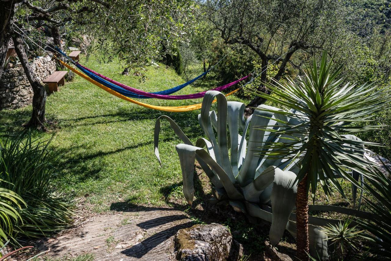 La Fattoria Di Nonna Eugenia Bed & Breakfast Lerici Dış mekan fotoğraf