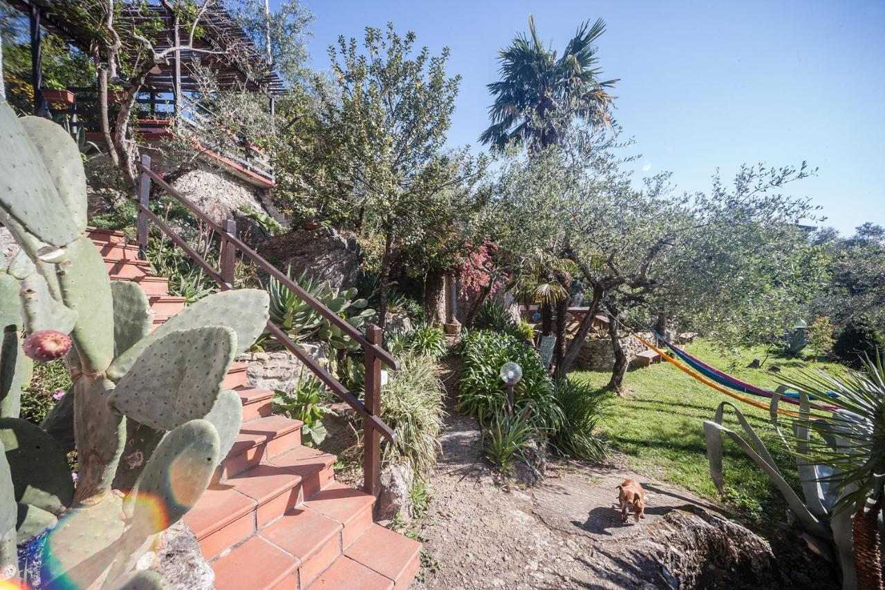 La Fattoria Di Nonna Eugenia Bed & Breakfast Lerici Dış mekan fotoğraf