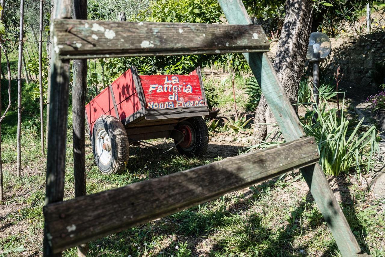 La Fattoria Di Nonna Eugenia Bed & Breakfast Lerici Dış mekan fotoğraf