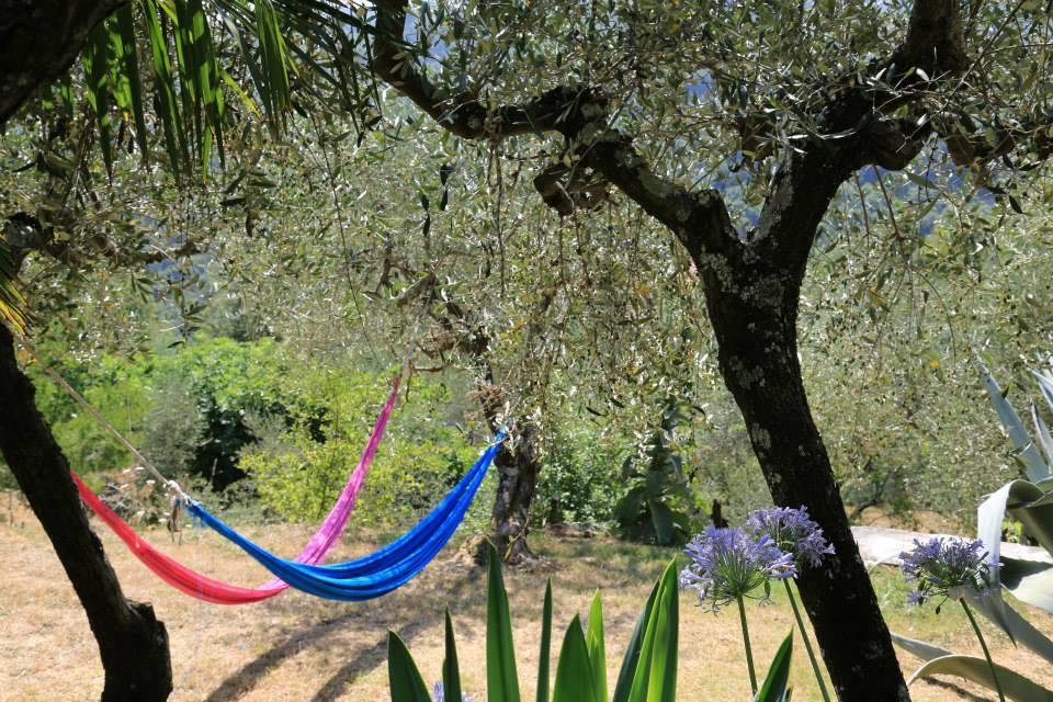 La Fattoria Di Nonna Eugenia Bed & Breakfast Lerici Dış mekan fotoğraf